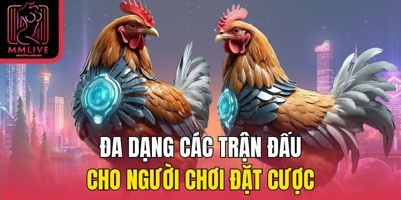 Đa dạng các trận đấu cho người chơi đặt cược